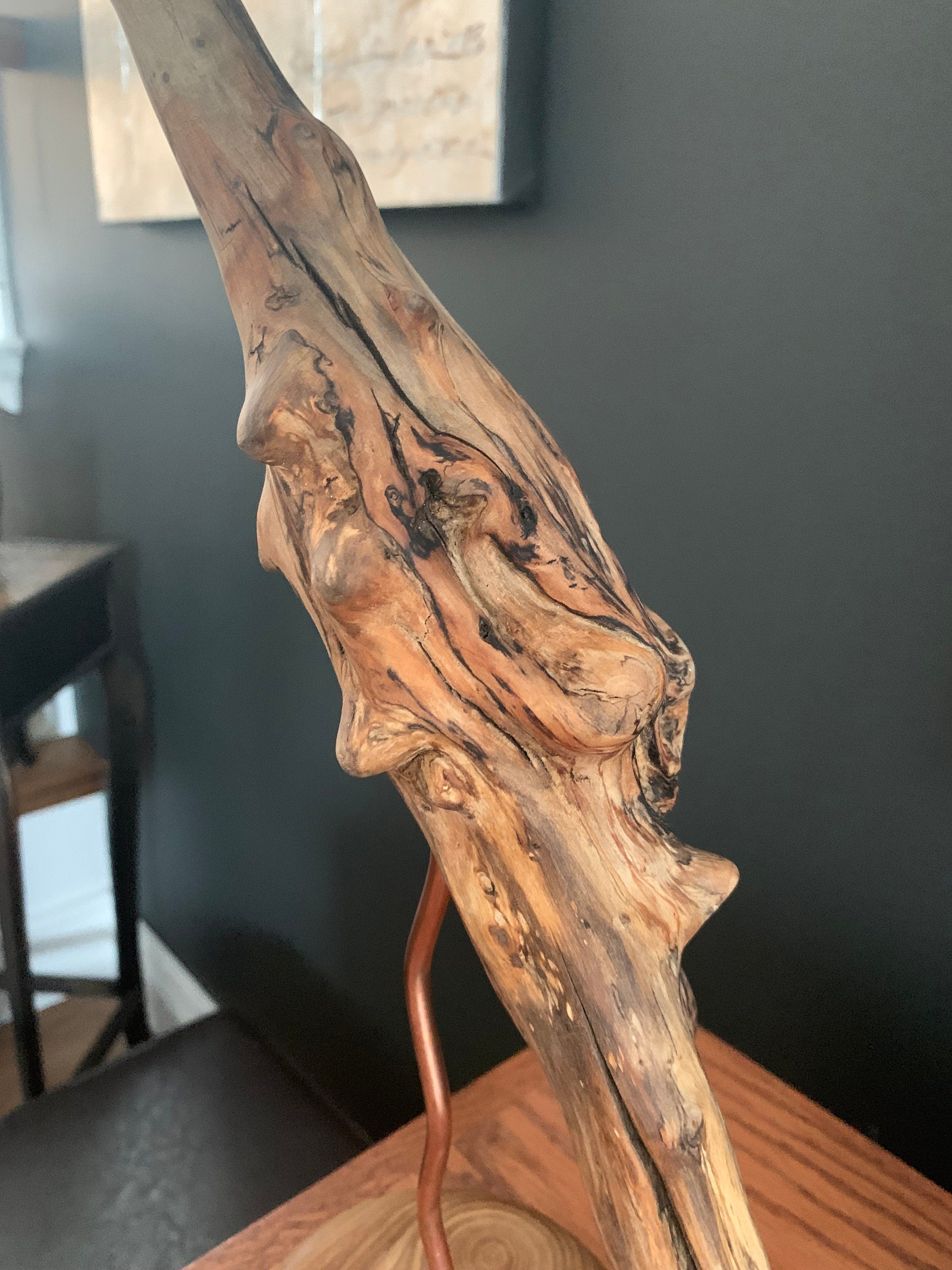 Driftwood artwork/Wood art/Driftwood/Abstract art/Art deco/Wood decor/Driftwood/Elm wood/Wood and copper decor